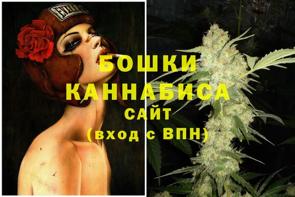 мдпв Гусь-Хрустальный