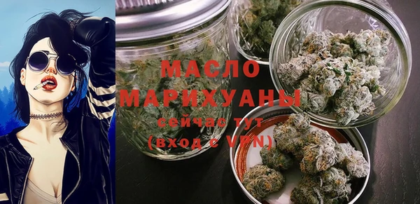мдпв Гусь-Хрустальный