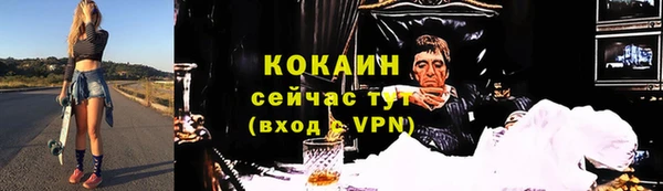 СК Гусев