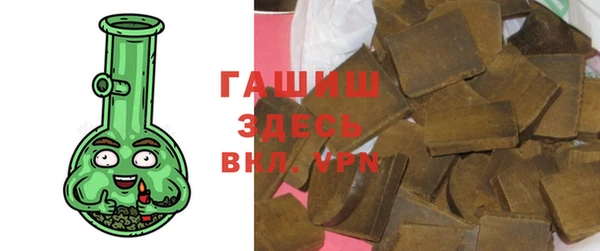 мдпв Гусь-Хрустальный