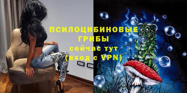 мдпв Гусь-Хрустальный